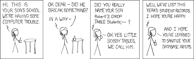 SQL injection cartoon
